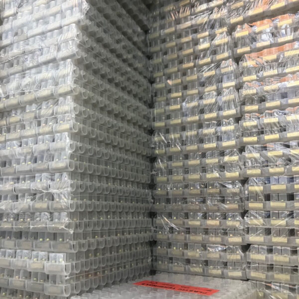 cầu đấu nhựa trăng 2